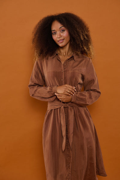 Froks Carla Sleeve Kjole / Earth brown & Gold lines