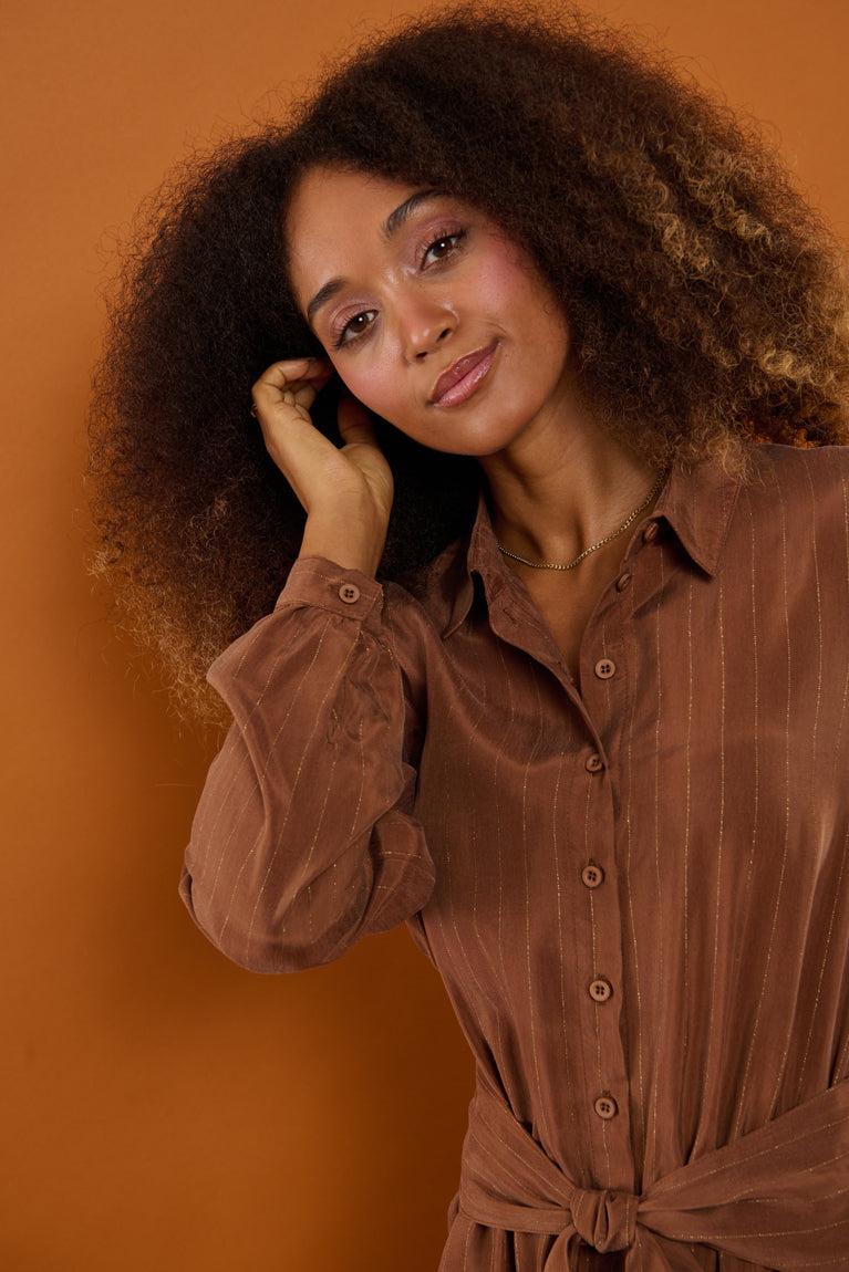 Froks Carla Sleeve Kjole / Earth brown & Gold lines